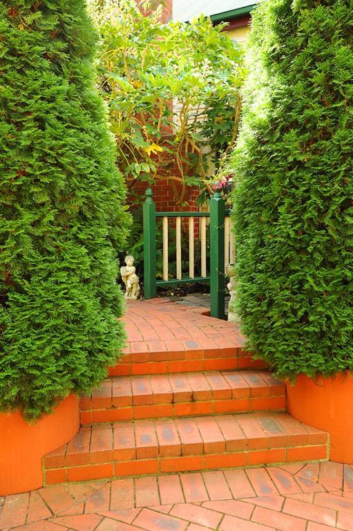 Mary Cards Coach House Bed & Breakfast Olinda Room photo